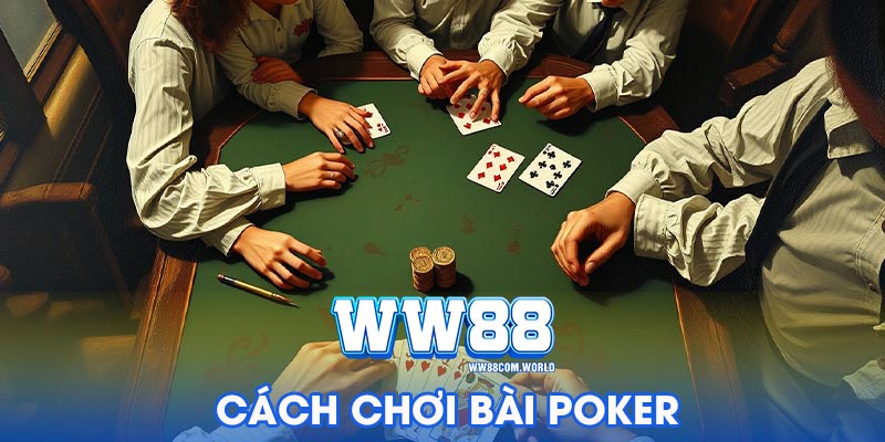 Quy tắc cơ bản cho người mới chưa biết bài poker là gì