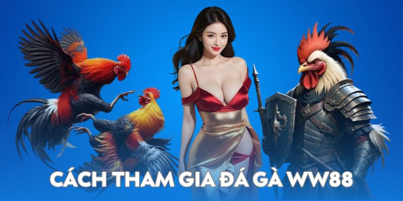 Cách tham gia đá gà WW88 chi tiết dành cho Newbie