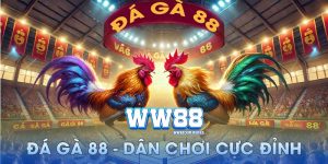 Đá gà 88