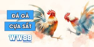 đá gà ww88