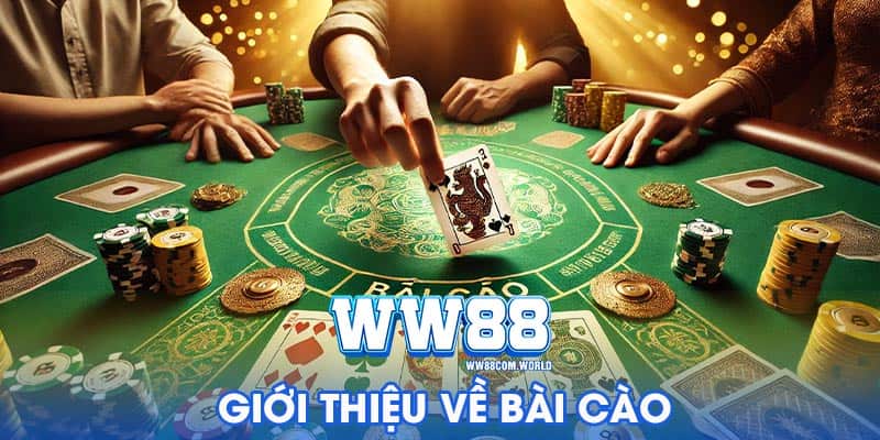 Giới thiệu về bài cào