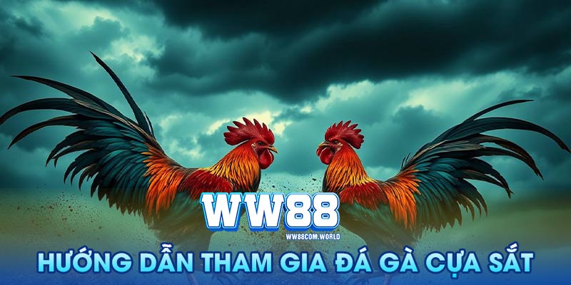 Hướng dẫn tham gia đá gà cựa sắt tại WW88