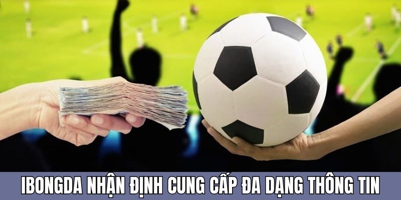 Ibongda nhận định cung cấp đa dạng thông tin