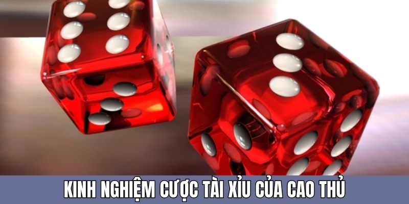 Có nhiều cao thủ đã được đúc kết từ cách tính tài xỉu