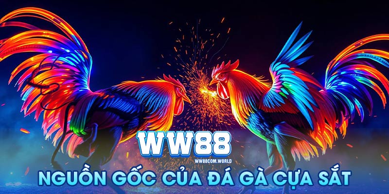Lịch Sử và Nguồn Gốc Của Đá Gà Cựa Sắt