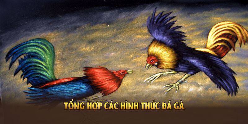 Tổng hợp các hình thức đá gà Campuchia và tiếp cận người chơi