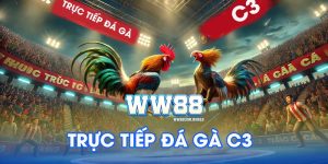 trực tiếp đá gà C3