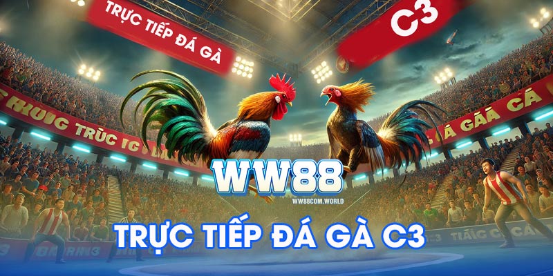 trực tiếp đá gà C3